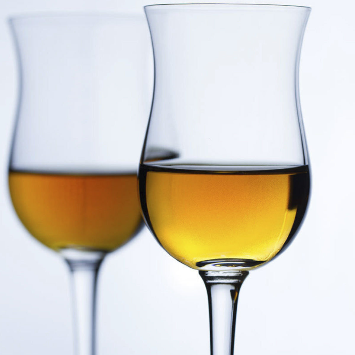 Sommelier-Malt Whiskey Glass