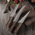 Hand-forged 5pcs Boning Knives Set