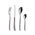 Polished Stainless Steel Flatware Set