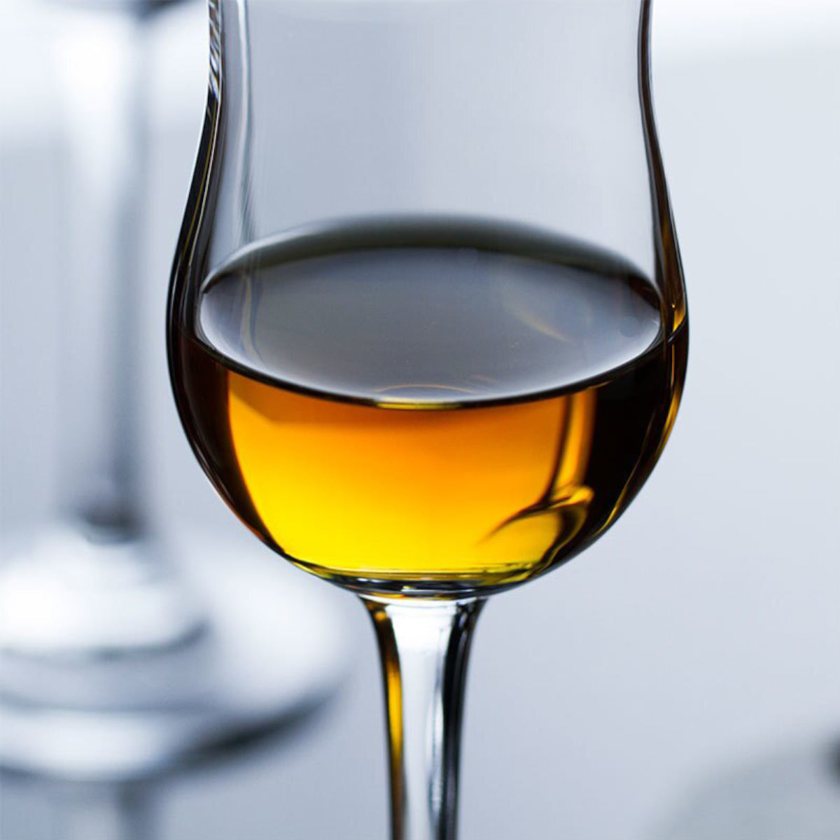 Sommelier-Malt Whiskey Glass