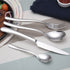 Polished Stainless Steel Flatware Set